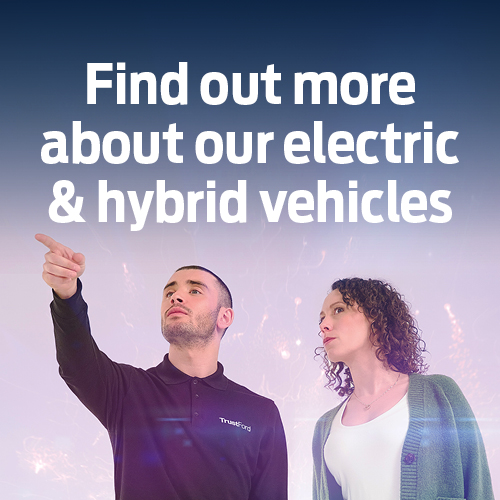 Electric and Hybrid image